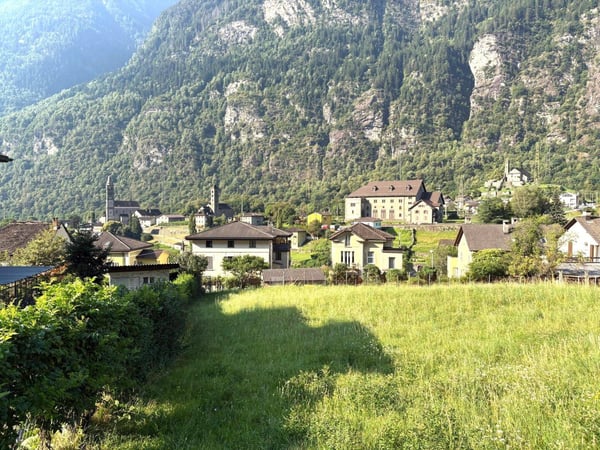 EDIFICA IN ZONA RESIDENZIALE SOLEGGIATA IMMERSA NEL VERDE 1