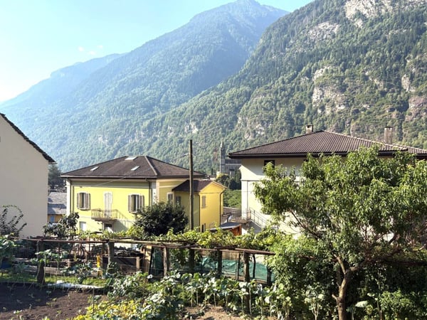 EDIFICA IN ZONA RESIDENZIALE SOLEGGIATA IMMERSA NEL VERDE 4