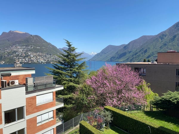 SPLENDIDA VISTA DALLA TUA NUOVA DIMORA 1