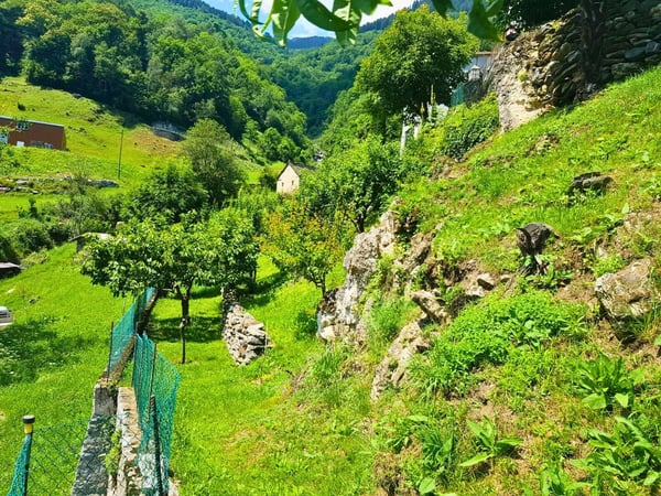 UN POSTO DA SOGNO DOVE VIVERE DI QUALITA' 7