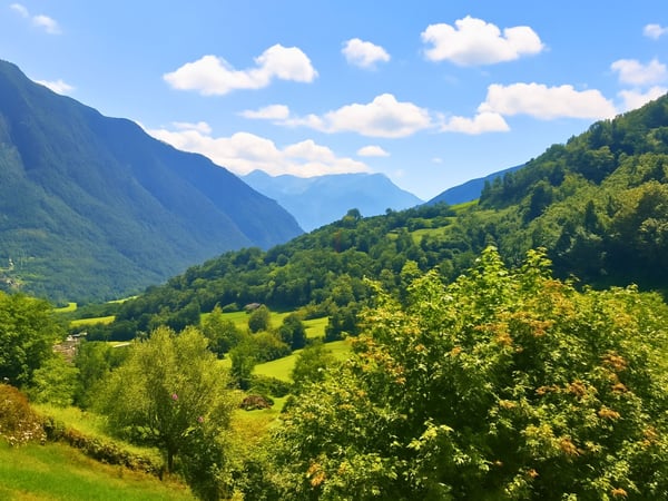 UN POSTO DA SOGNO DOVE VIVERE DI QUALITA' 10
