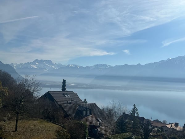 Maison individuelle à Chernex 3