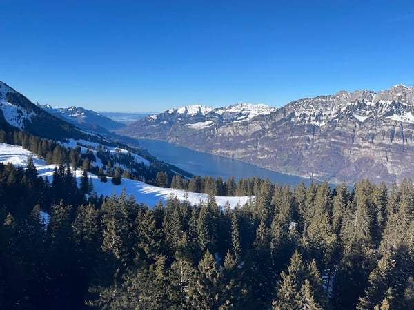 Exklusive 3.5-Zimmerwohnung als zweite Wohnsitz mit traumhafter Panoramasicht auf den Walensee 96