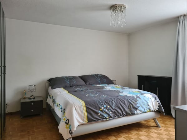 Grosszügige 5.5-Zimmerwohnung 4