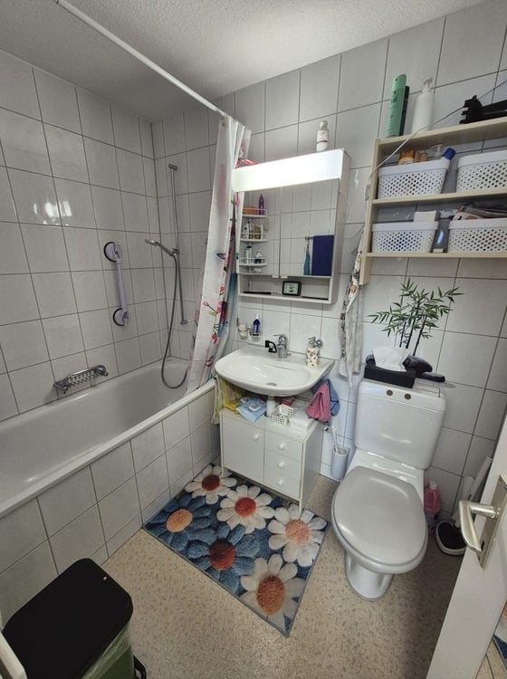 3 Zimmerwohnung mit grosszügiger Terrasse 3