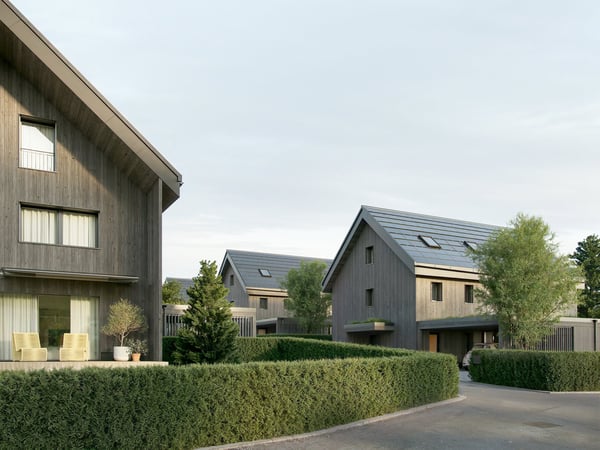 Neubau SESTETTO - Leben zwischen Wald und See. 1