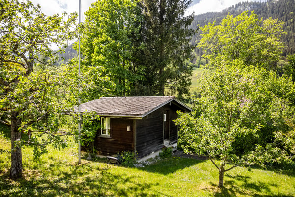 Einmaliges Architektenhaus auf grosszügiger Parzelle in Zweisimmen zu verkaufen 2
