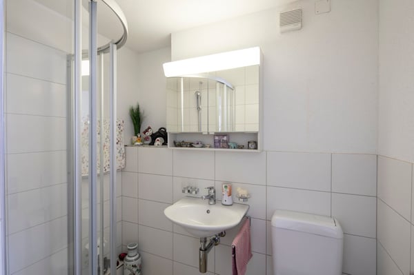 Charmantes 5½-Zimmer Reiheneinfamilienhaus in Therwil zu verkaufen 7