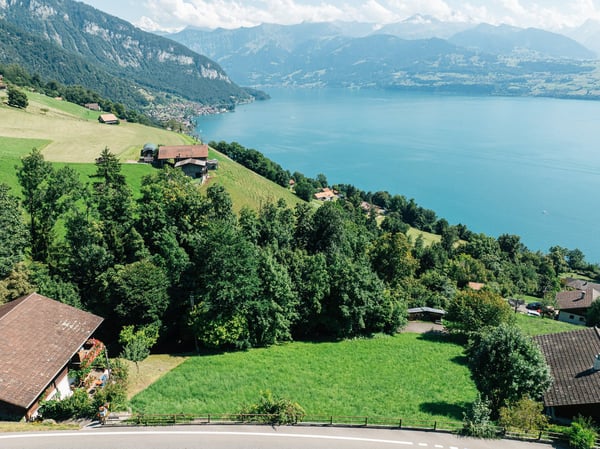 Grosszügige Baulandparzelle mit spektakulärer Aussicht in Sigriswil 4