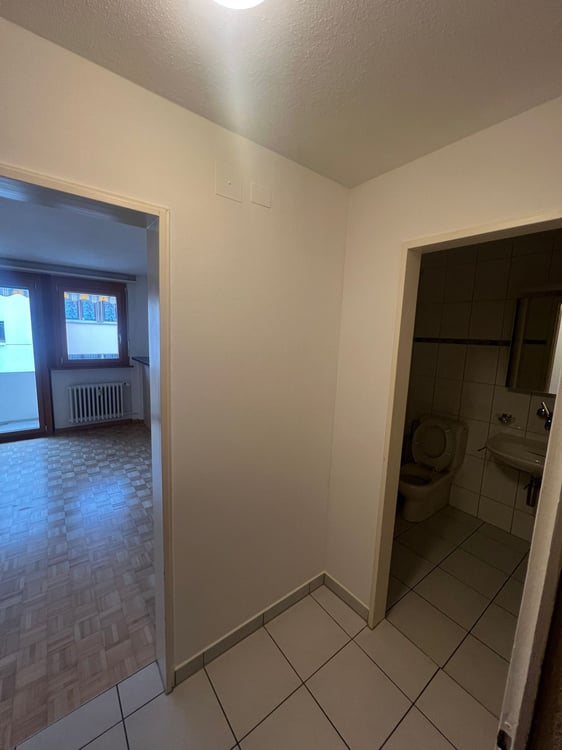 Gemütliche 2.5-Zimmer-Wohnung mit Balkon in Luzern 12