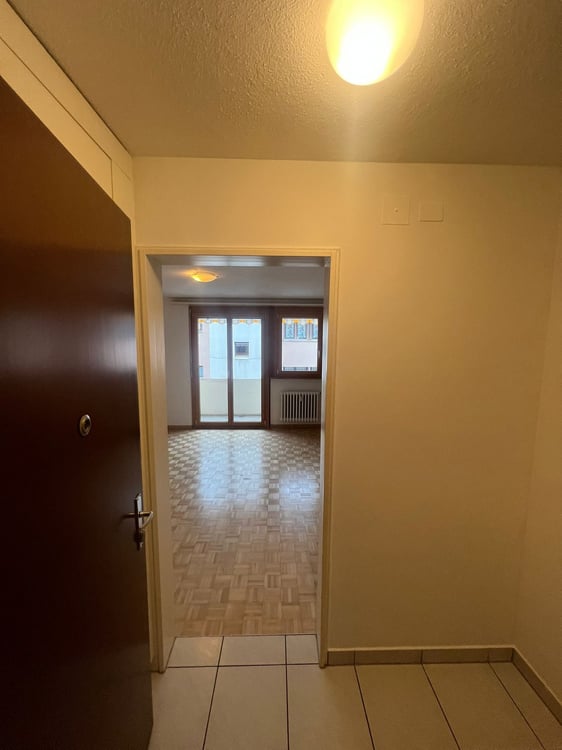 Gemütliche 2.5-Zimmer-Wohnung mit Balkon in Luzern 13