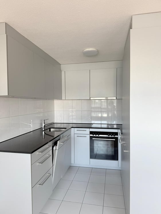 Charmante 3.5-Zimmer-Wohnung mit Balkon und Seeblick in Luzern 6