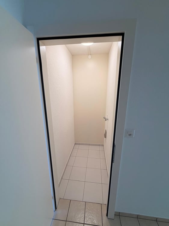 Charmante 3.5-Zimmer-Wohnung mit Balkon und Seeblick in Luzern 7