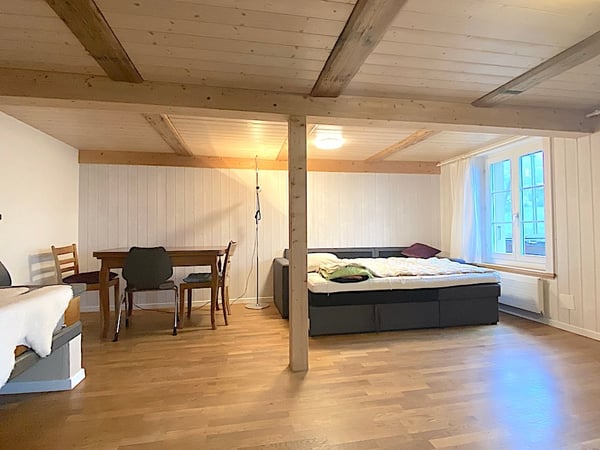 Landhaus mit 3 Wohnungen, Praxis, Pferdeboxen, Quelle, Bauland 37