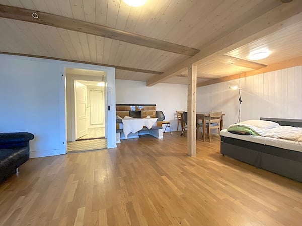 Landhaus mit 3 Wohnungen, Praxis, Pferdeboxen, Quelle, Bauland 38