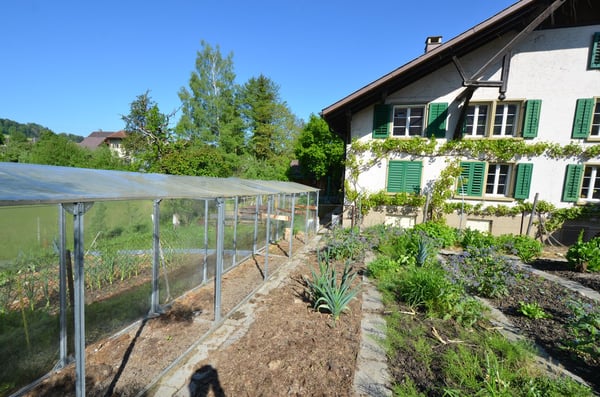 Landhaus mit 3 Wohnungen, Praxis, Pferdeboxen, Quelle, Bauland 6