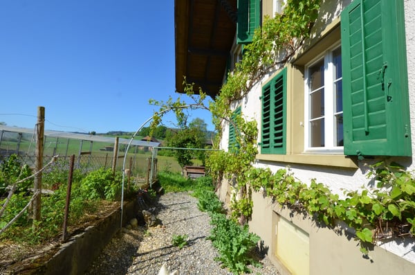 Landhaus mit 3 Wohnungen, Praxis, Pferdeboxen, Quelle, Bauland 7