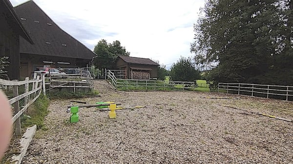 Landhaus mit 3 Wohnungen, Praxis, Pferdeboxen, Quelle, Bauland 17