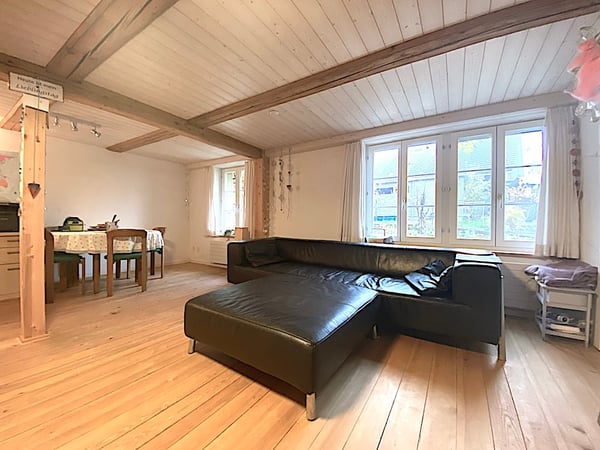 Landhaus mit 3 Wohnungen, Praxis, Pferdeboxen, Quelle, Bauland 36