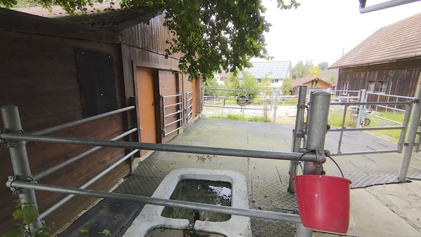 Landhaus mit 3 Wohnungen, Praxis, Pferdeboxen, Quelle, Bauland 10