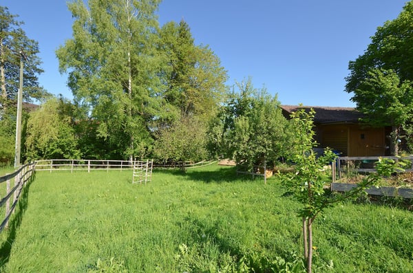 Landhaus mit 3 Wohnungen, Praxis, Pferdeboxen, Quelle, Bauland 5