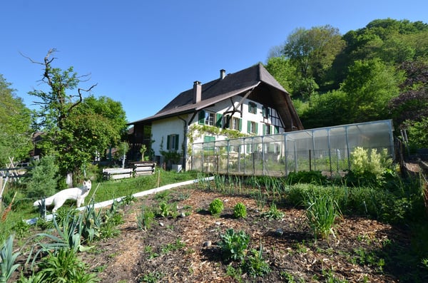 Landhaus mit 3 Wohnungen, Praxis, Pferdeboxen, Quelle, Bauland 1
