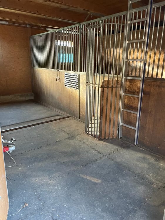 Landhaus mit 3 Wohnungen, Praxis, Pferdeboxen, Quelle, Bauland 20