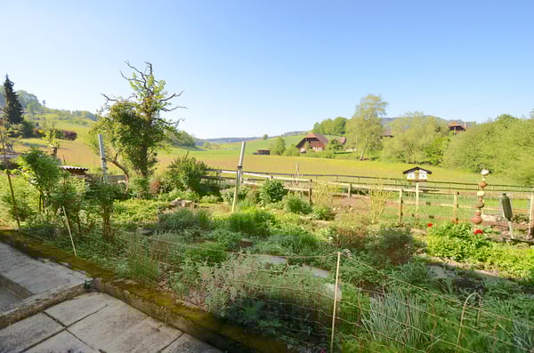 Landhaus mit 3 Wohnungen, Praxis, Pferdeboxen, Quelle, Bauland 4