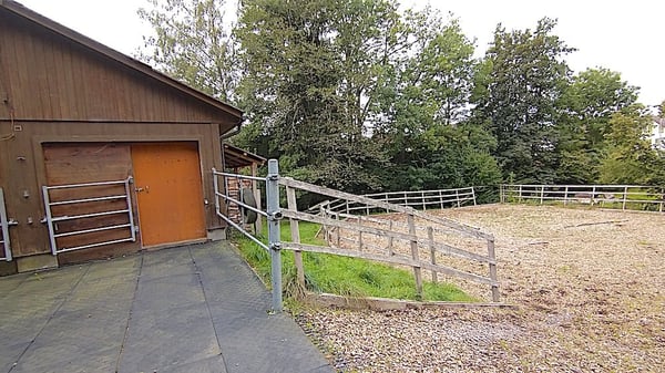 Landhaus mit 3 Wohnungen, Praxis, Pferdeboxen, Quelle, Bauland 15