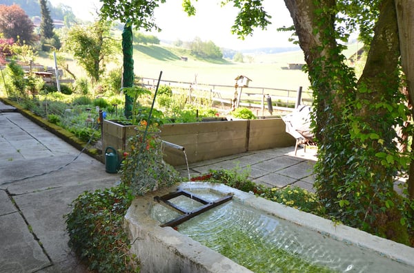 Landhaus mit 3 Wohnungen, Praxis, Pferdeboxen, Quelle, Bauland 3