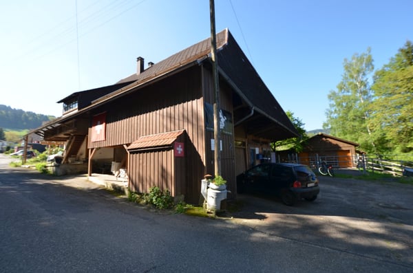 Landhaus mit 3 Wohnungen, Praxis, Pferdeboxen, Quelle, Bauland 8