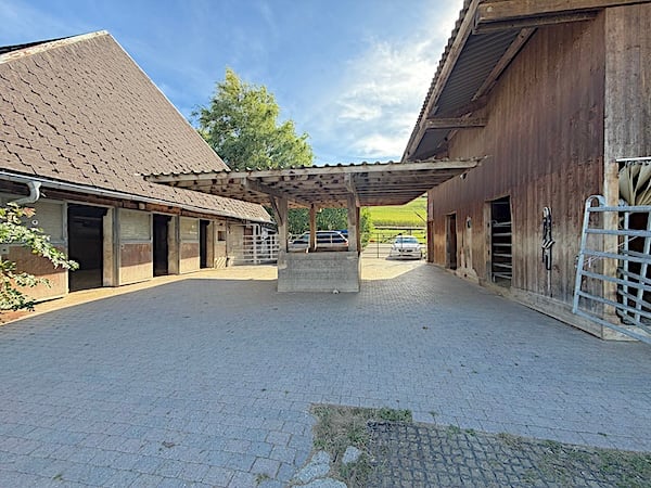 Ein Bauernhaus wie im Paradies! 13