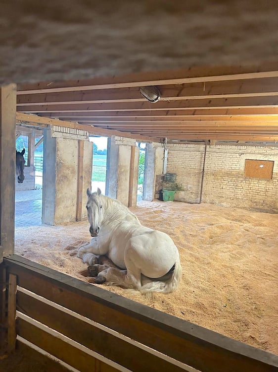 Ein Bauernhaus wie im Paradies! 15