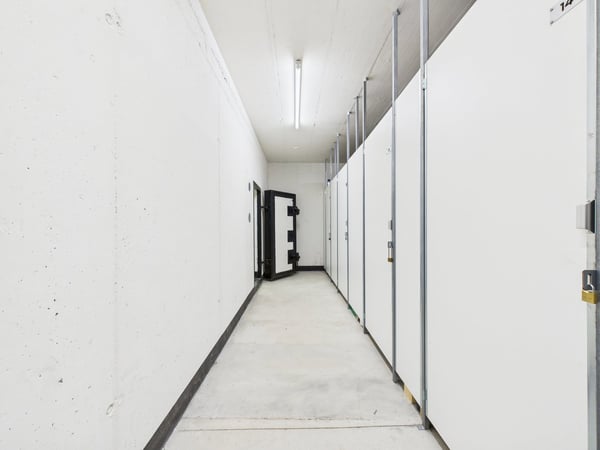 Ampio ed elegante appartamento di 1.5 locali a Pregassona 21