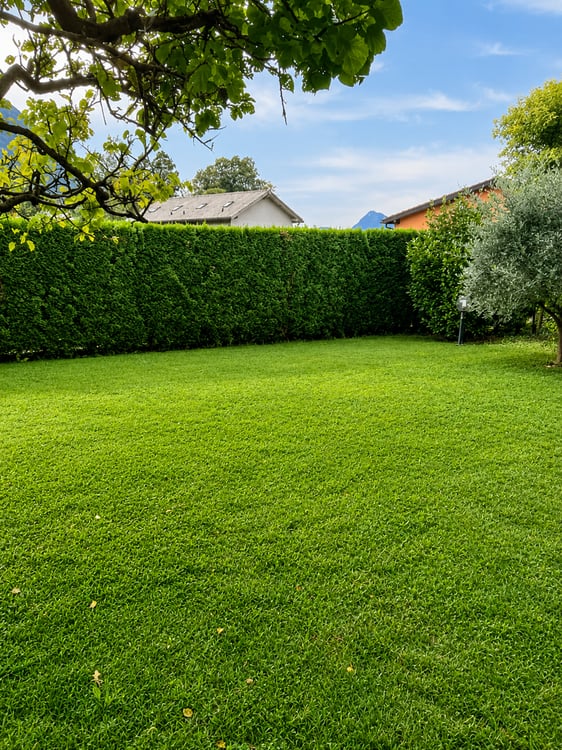 SPLENDIDA CASA UNIFAMILIARE CON GIARDINO PRIVATO 3