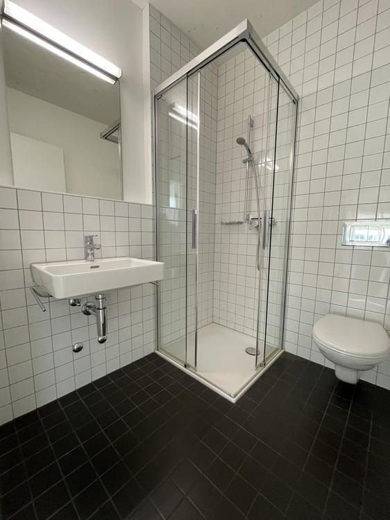 Grosszügige, helle und moderne 1.5-Zimmer-Wohnung 9