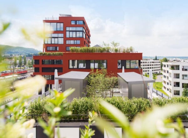 3.5 Zimmerwohnung in Risch-Rotkreuz