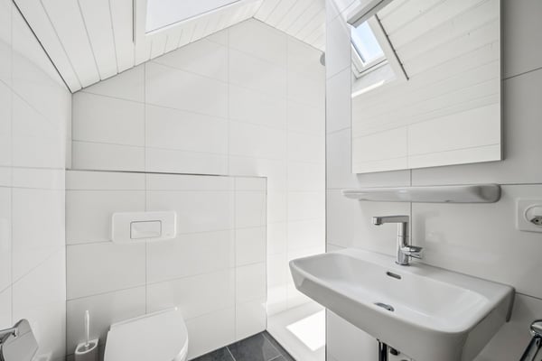 Wohnung mit herrlicher Aussicht - Erstvermietung nach Totalsanierung 5
