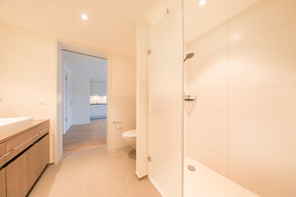 Ihre urbane Wohnung über Olten 4