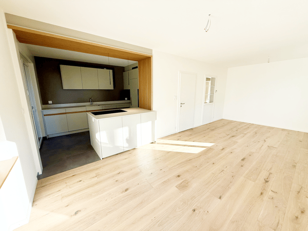 Freistehendes 1.5-Zimmer-Haus in Therwil – Erstvermietung nach Renovation 2