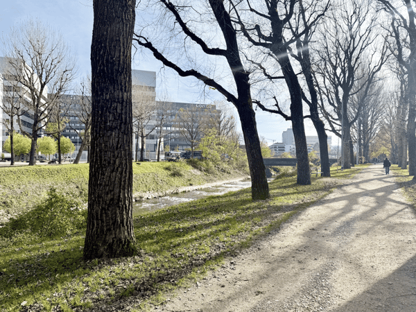 Renovationsobjekt mit Potenzial – 3-Zimmer-Wohnung in Basel-Nord 18