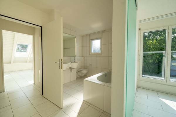 Steueroase vor den Toren Zürichs 5