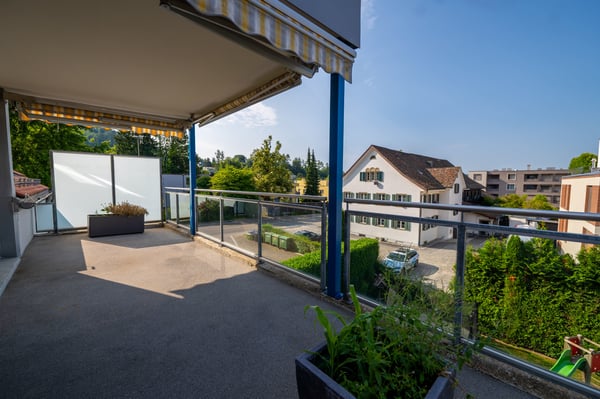 Steueroase vor den Toren Zürichs 3