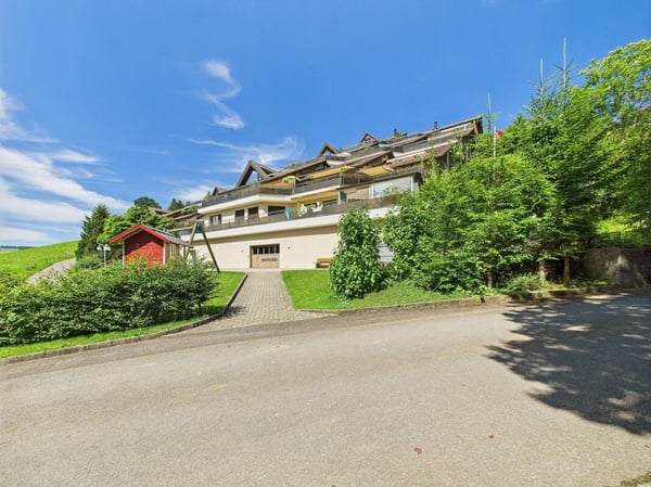 Sonnenparadies mit 180° Bergkino - frisch renovierte 4.5-Zimmer-Terrassenwohnung 23
