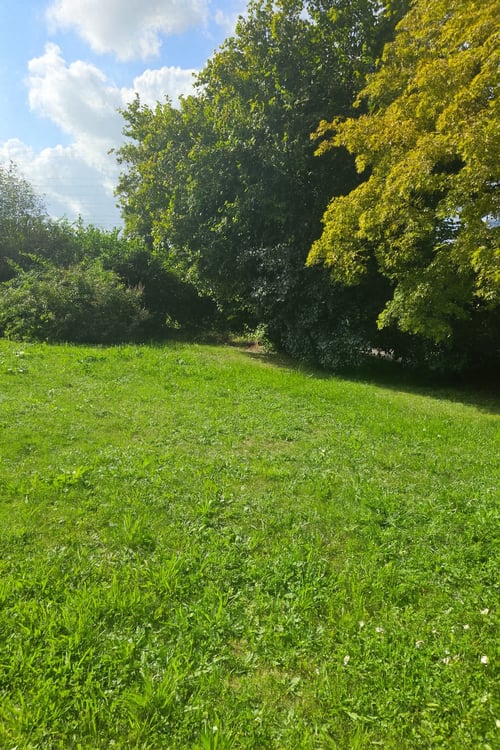 Begehrte Bauparzelle mit vielseitigem Neubaupotenzial in Hunzenschwil 4