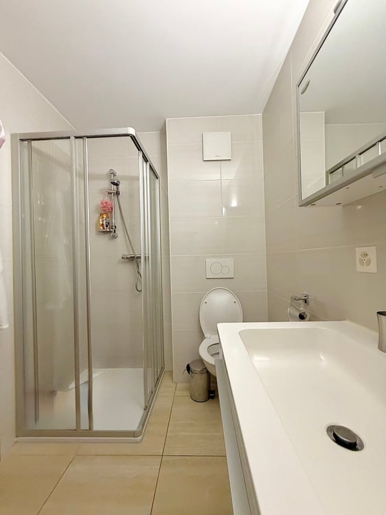 Magnifique appartement de 1.5 pièces avec vue panoramique à Romont 7