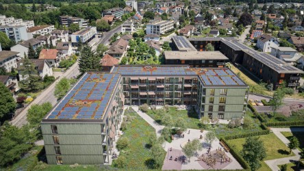 3.5-Zimmer-Gartenwohnung mit flexiblem Eingangsbereich und 41m² Aussenfläche 12