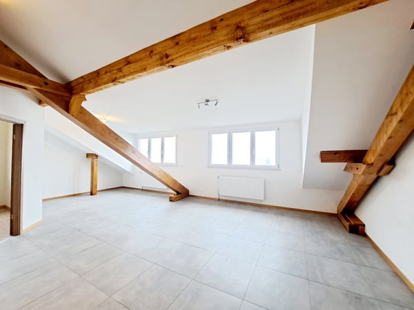 Appartement lumineux de 3.5 pièces neuf aux Combles 5
