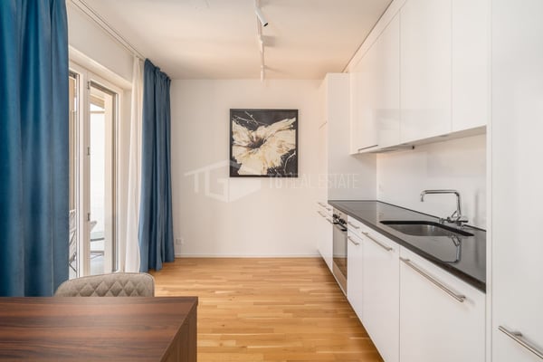 ELEGANTE 1.5 LOCALI NEL CUORE DI LUGANO 7