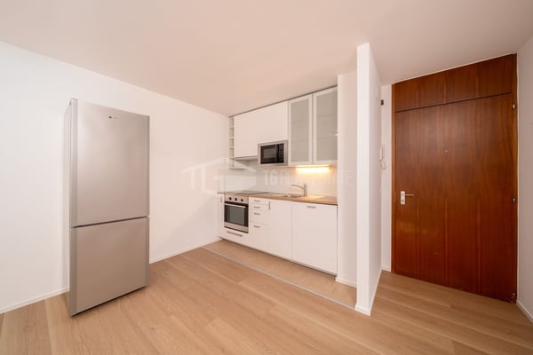 DUPLEX CON GIARDINO IN CENTOR LUGANO 6